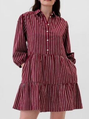 GAP Woman’s Size XS Burgundy Striped Dress NWT